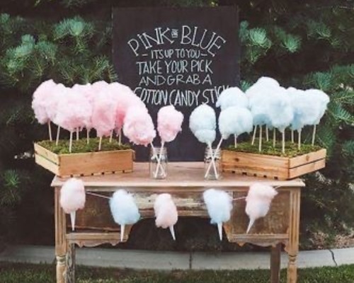 Gender reveal Gender reveal