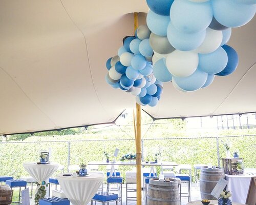 Een uniek driedubbel feest in wit-blauw: communie, verjaardag én 25 jaar liefde